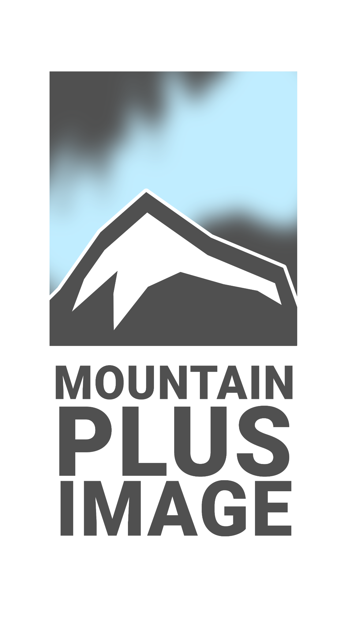 Mountain Plus Image logo